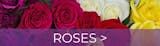 Roses Special