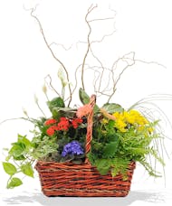 European Garden Basket