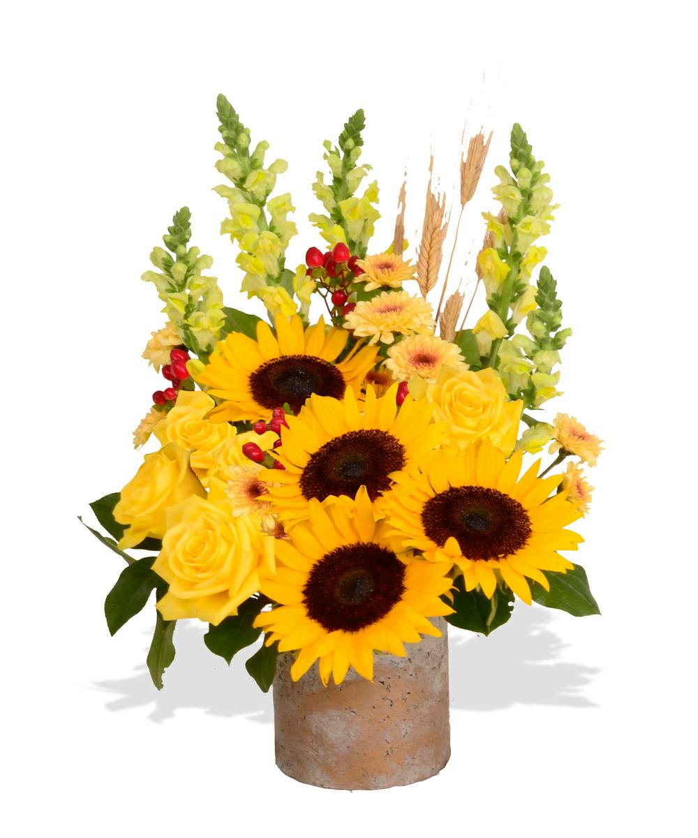 Autumn Breeze Arrangement Billy Heroman's Florist Baton Rouge