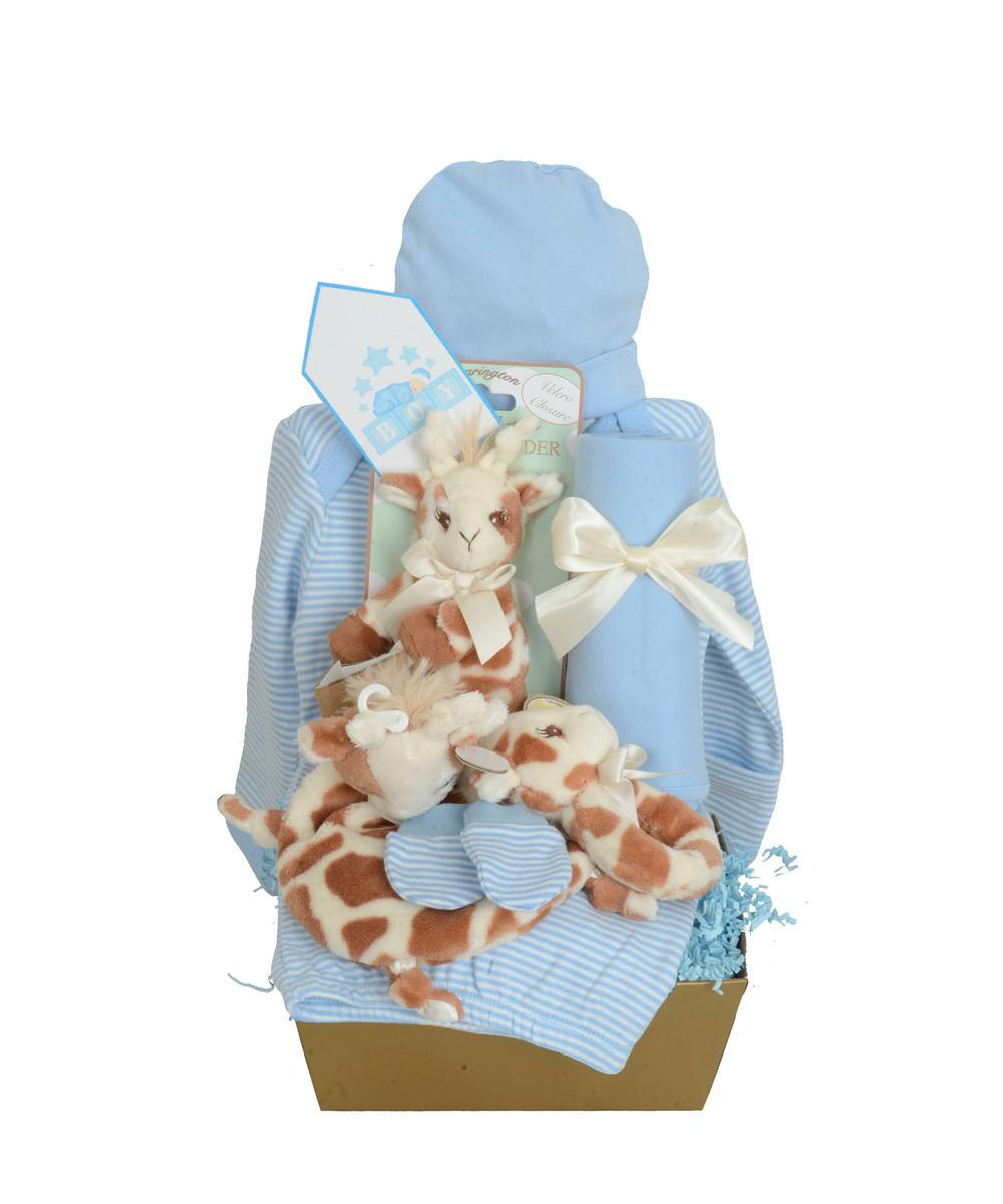 Baby Boy Basket