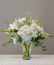 Bianca - Signature Collection