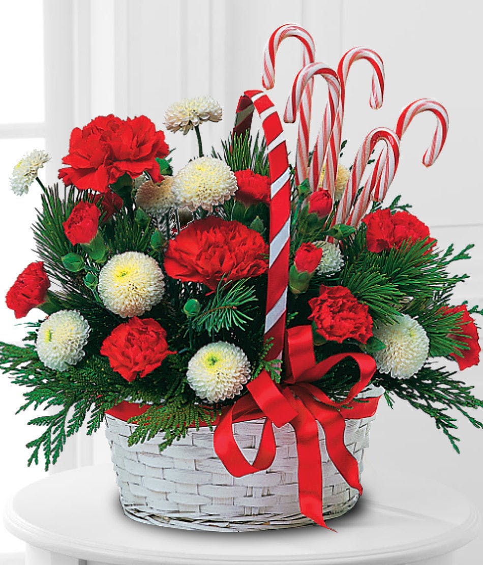 Pom Pom Carnation Christmas Greens & Candy Cane Basket delivered in