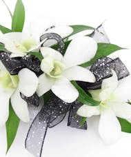 Dendrobium White Corsage With Wristlet
