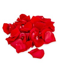 XO - Romantic Rose Petals