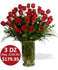 3 Dozen Premium Roses - Any Color