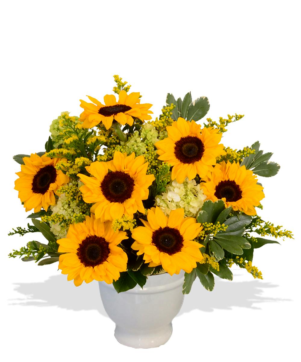 Port Allen LA Florist & Flower Delivery Baton Rouge Florist