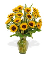 Vased Sunflowers.