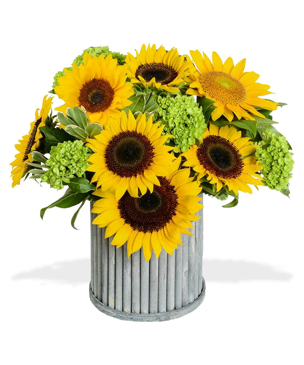 Sunflowers Arranged In A Rustic Barrel Same Day Delivery Baton Rouge